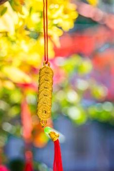 hướng dẫn đặt giới hạn số ván
